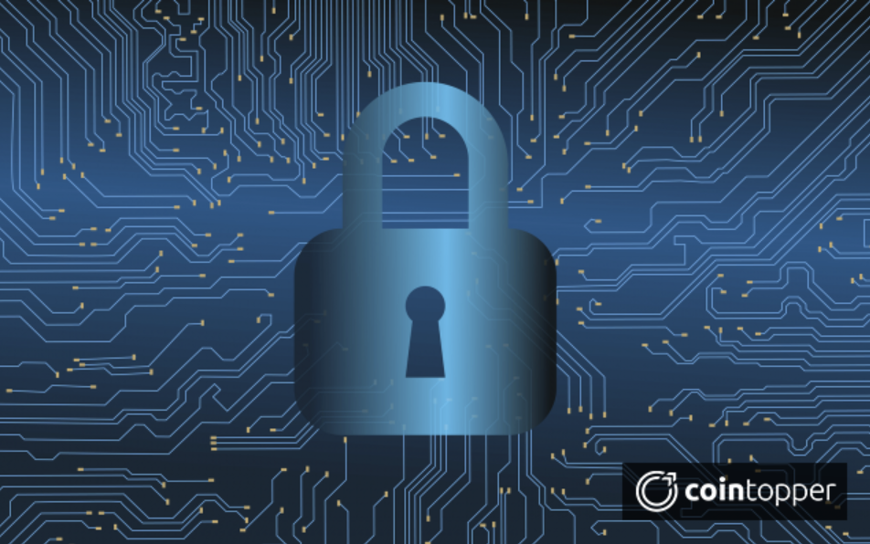 Vulnerability Issues found in the newly launched Nano Wallet, Users asked to move Funds