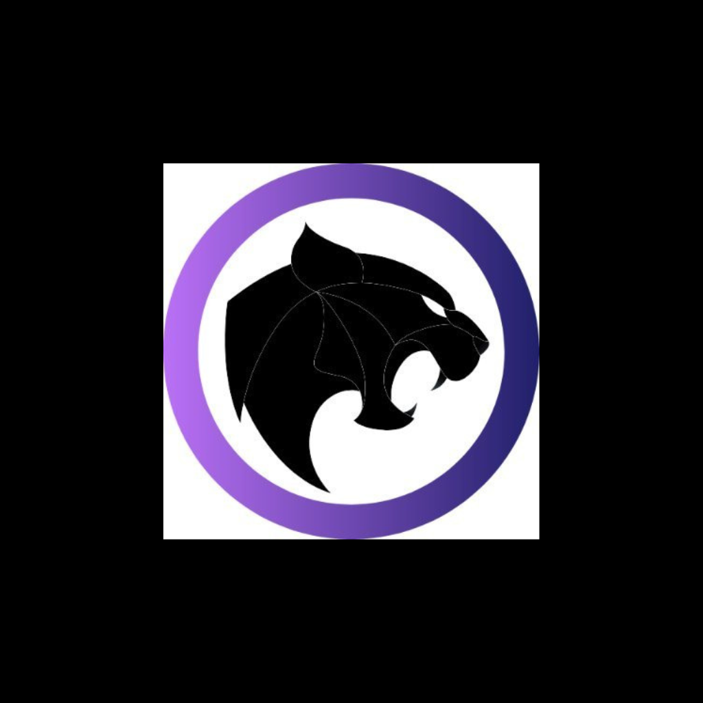 Airdrop Schedule and Black Panther’s $BLACK Token Allocation