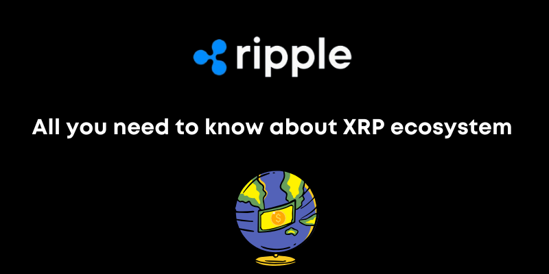 XRP Starter guide: All you need to know about XRP ecosystem